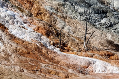 Limestone sinter terraces
