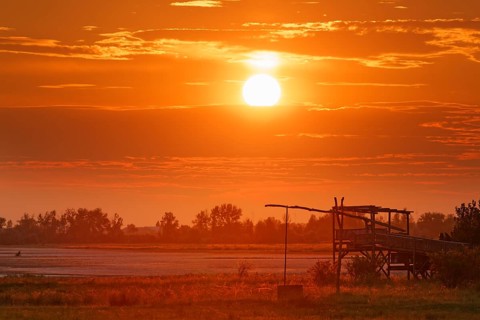 Drawing well at sunrise