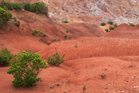 Red soil