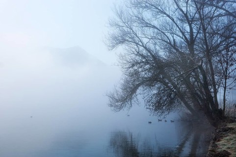 Morning fog on Mondsee Lake