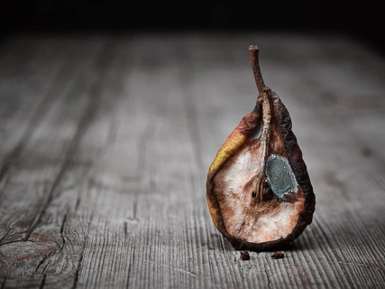 Moldy pear