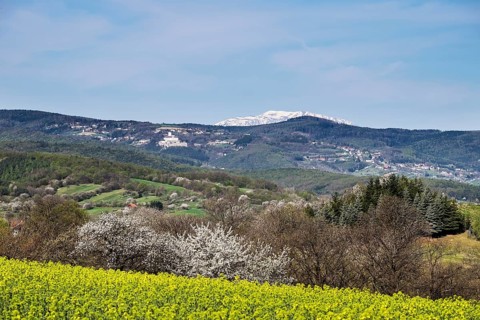 Forchtenstein Castle and Schneeberg mountain