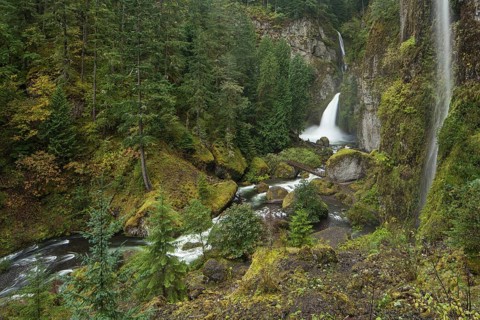 Wahclella Falls in the Columbia River Gorge