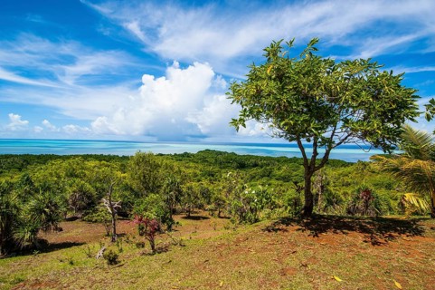 Overlooking the island