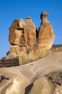 The 'Camel' rock formation in Devrent Valley