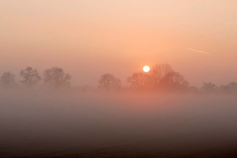 Sunrise with trees and fog