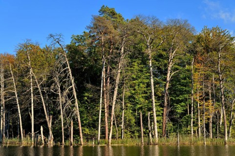 Lake Schweingartensee in the autumn