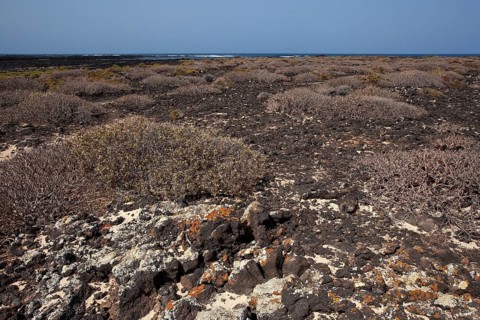 Bajo de los Sables in Orzola