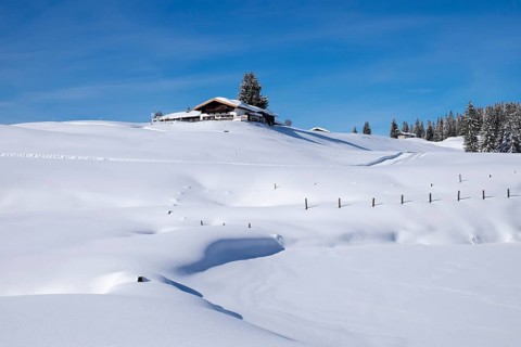 Winklmoosalm alp
