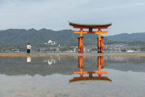 Itsukushima Floating Torii Gate in Water