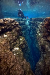 Diver at Little Devil in Santa Fe River