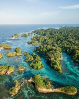 Coastal area with many small forested islands