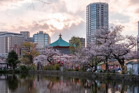 Shinobazunoike Bentendo Temple at Shinobazu Pond