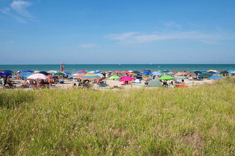 Sea and a sandy beach with sunshades