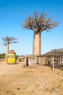 Yellow bus crossing a village