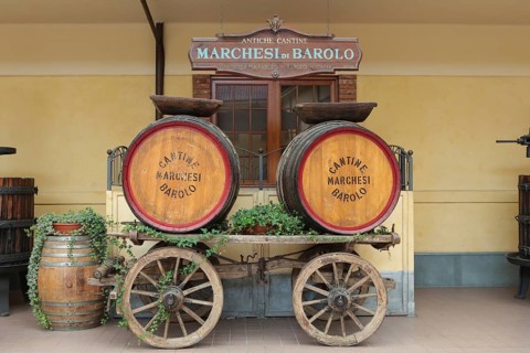 Wine barrels