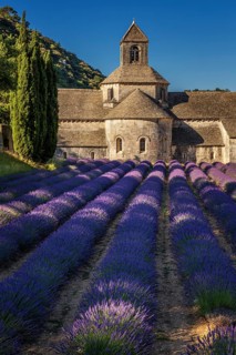The Romanesque Cistercian Senanque Abbey