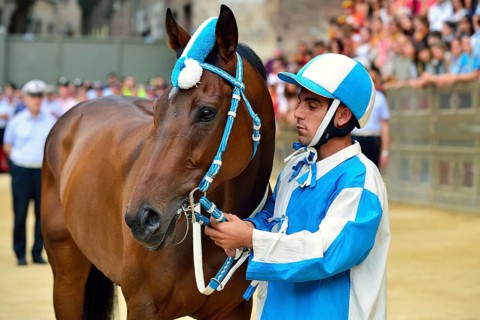 Jockey and horse of the Contrada of the Wave