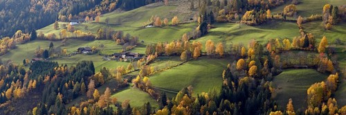 Panorama