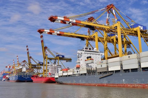 Container ships and gantry cranes