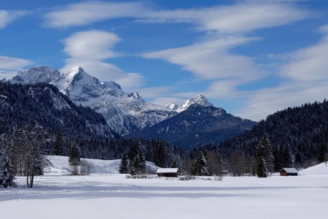 Winter landscape