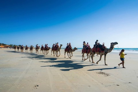 Tourists riding on camels on Cable Beach