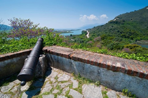 Cannon