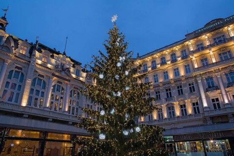 Christmas tree in front of the Pupp Hotel