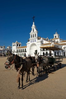Coach at the square