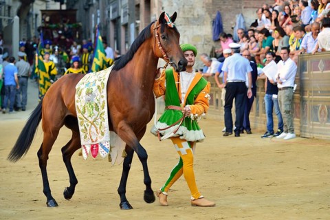 Horse and horse leader of the Contrada of the Forest