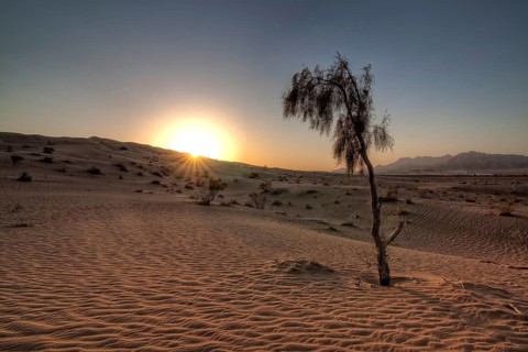 Dasht-e Kavir or Great Salt Desert