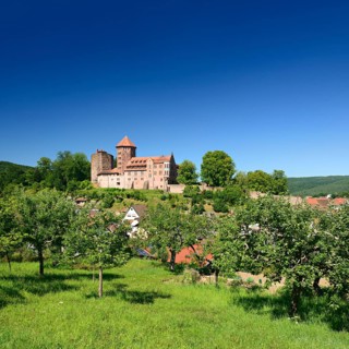 Orchard vis-a-vis Burg Rieneck Castle in Sinntal Valley