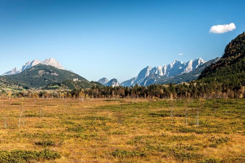 Purgschachen Moor in autumn