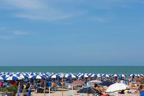 Bathers and parasols on the beach