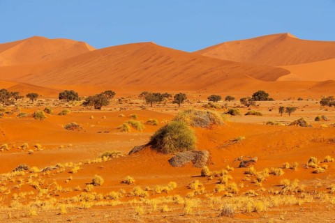 Sand dunes