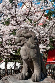 Lion statue