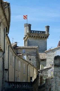 The Dukes Palace