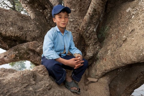 Nepalese student wearing a school uniform sitting on a tree