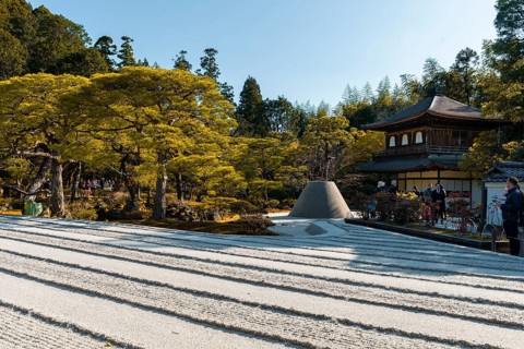 Rock garden