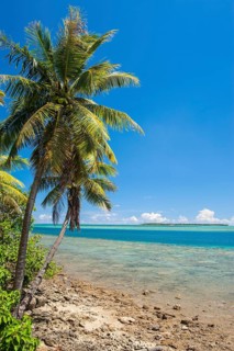 Coast and coral reef