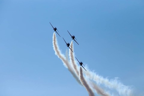 The Canadian Forces Snowbirds aerobatic team air show