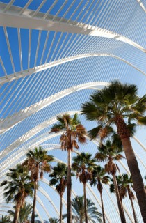 L'Umbracle Palm Garden