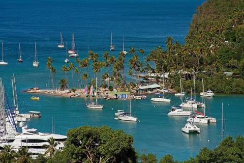 Boats in the harbour