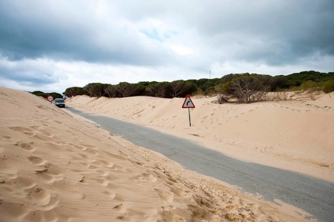 Wandering dune of Bolonia