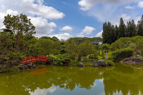Lake in the Japanese Garden at the Jardin Botanico National Dr. Rafael Maria Moscoso