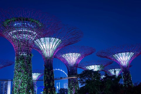 Supertrees