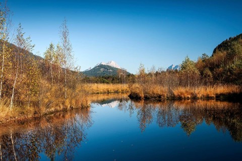 Libellenteich pond in autumn