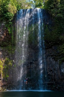 Millaa Millaa Falls