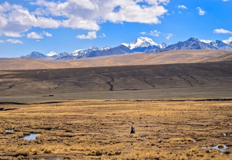 Woman alone walking in the plateau with the Cordillera Real on the back