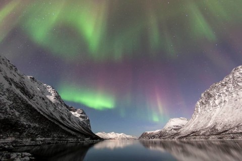 Aurora over the Grotfjord